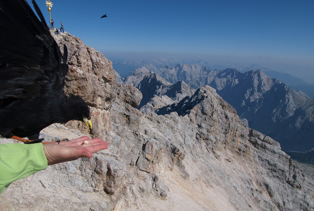 Zugspitze