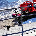 Zugspitze