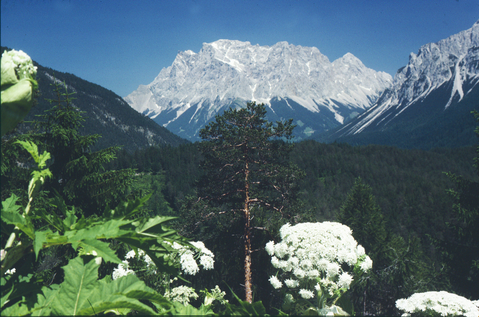 Zugspitze