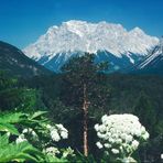 Zugspitze