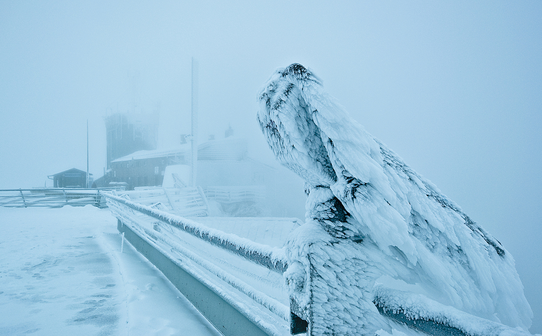 Zugspitze Foto & Bild deutschland, europe, bayern Bilder auf
