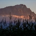 Zugspitze im Abendlicht...