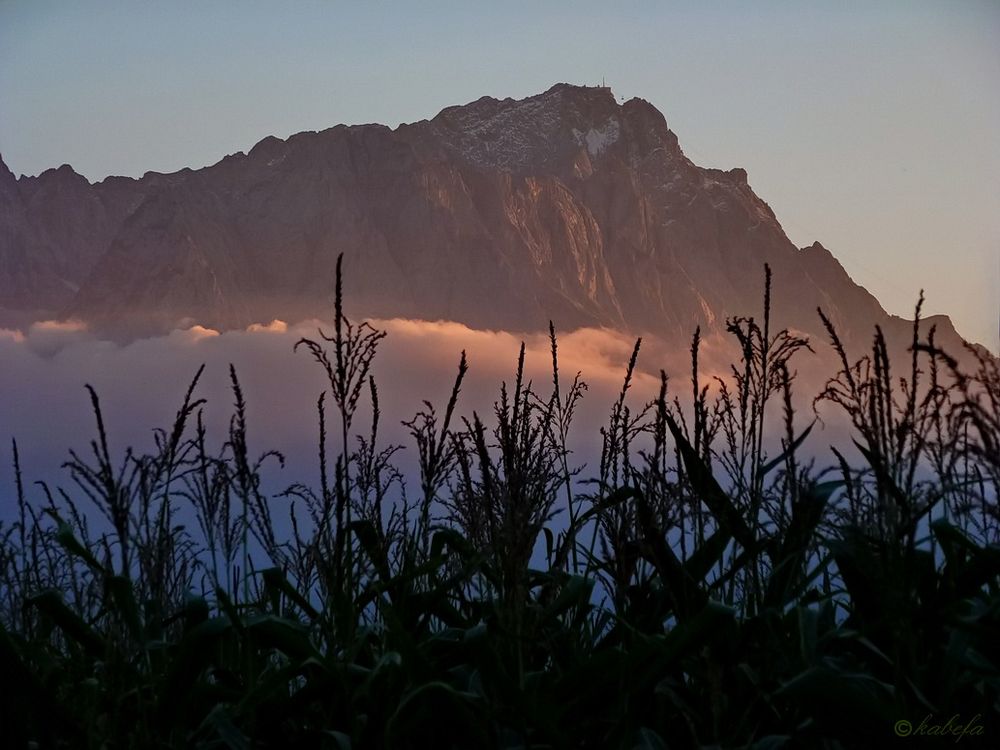 Zugspitze im Abendlicht...