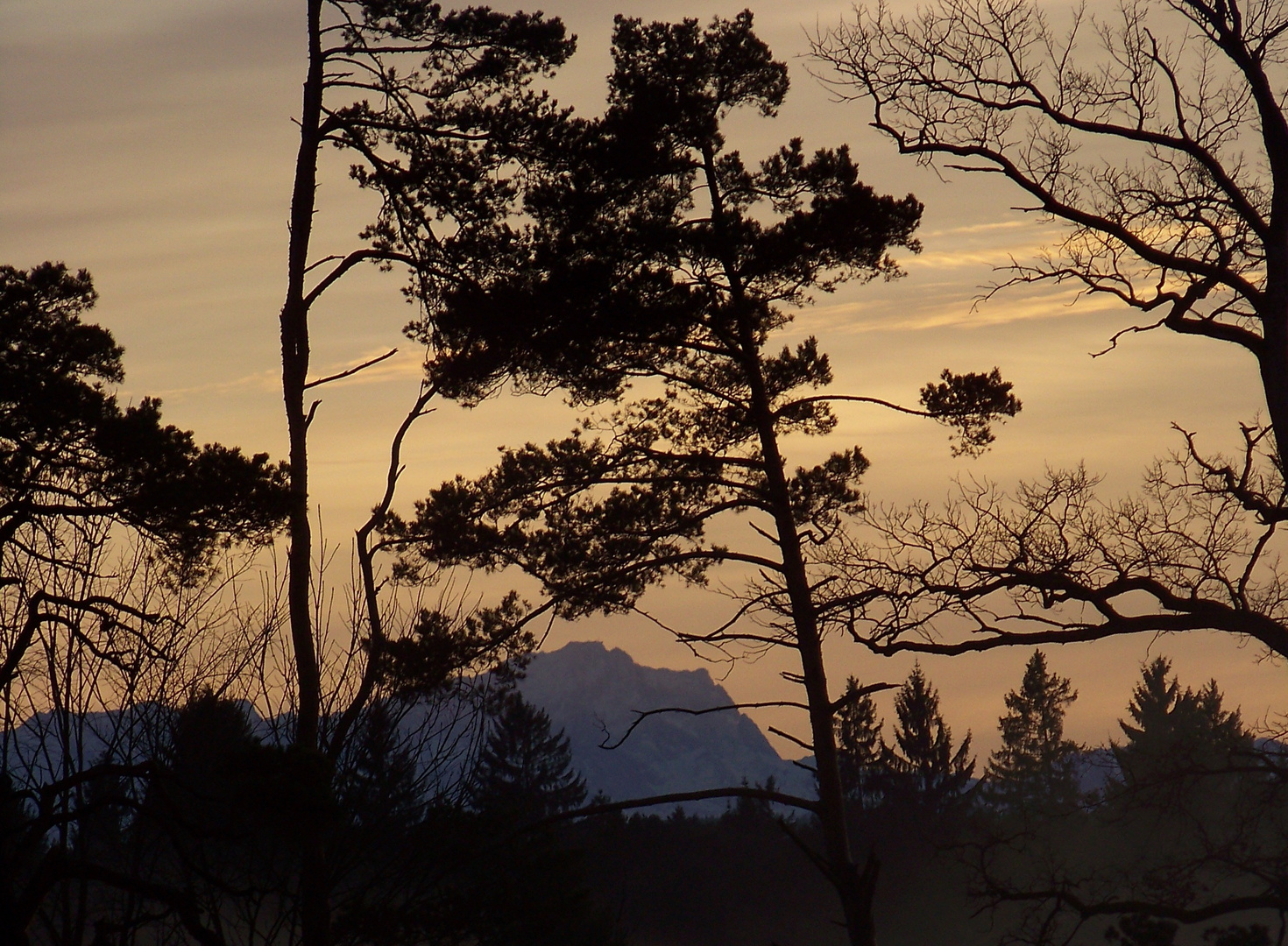 Zugspitze im Abendrot