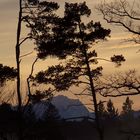 Zugspitze im Abendrot