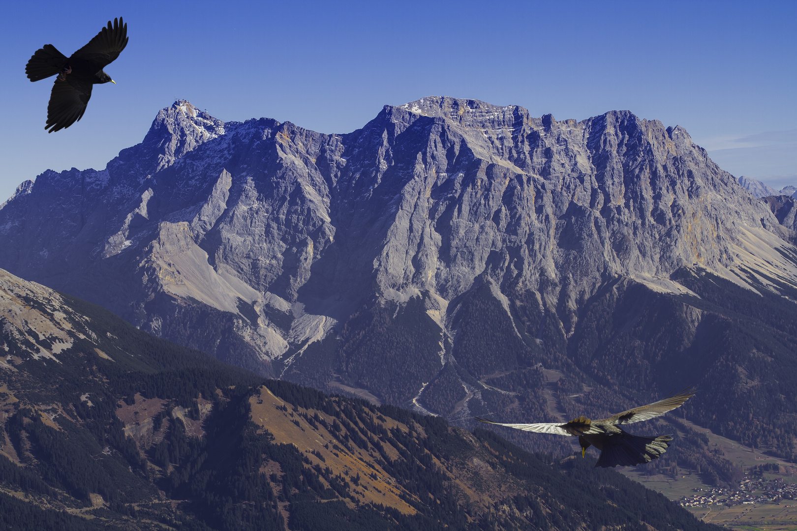 Zugspitze mit Bergdohlen