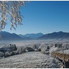 Zugspitze und Murnauer Moos (Reload in groß)