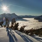 Zugspitze vom Wank aus