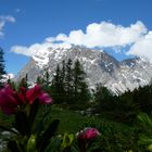 Zugspitzgebirge