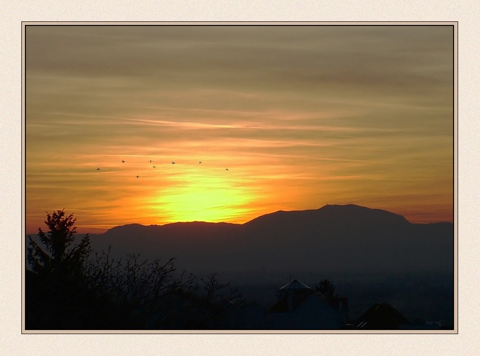 Zugvögel bei Sonnenuntergang