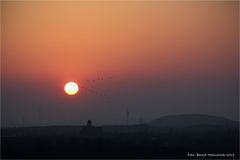 Zugvögel .... über dem LaPaDu und der Halde Rheinpreußen