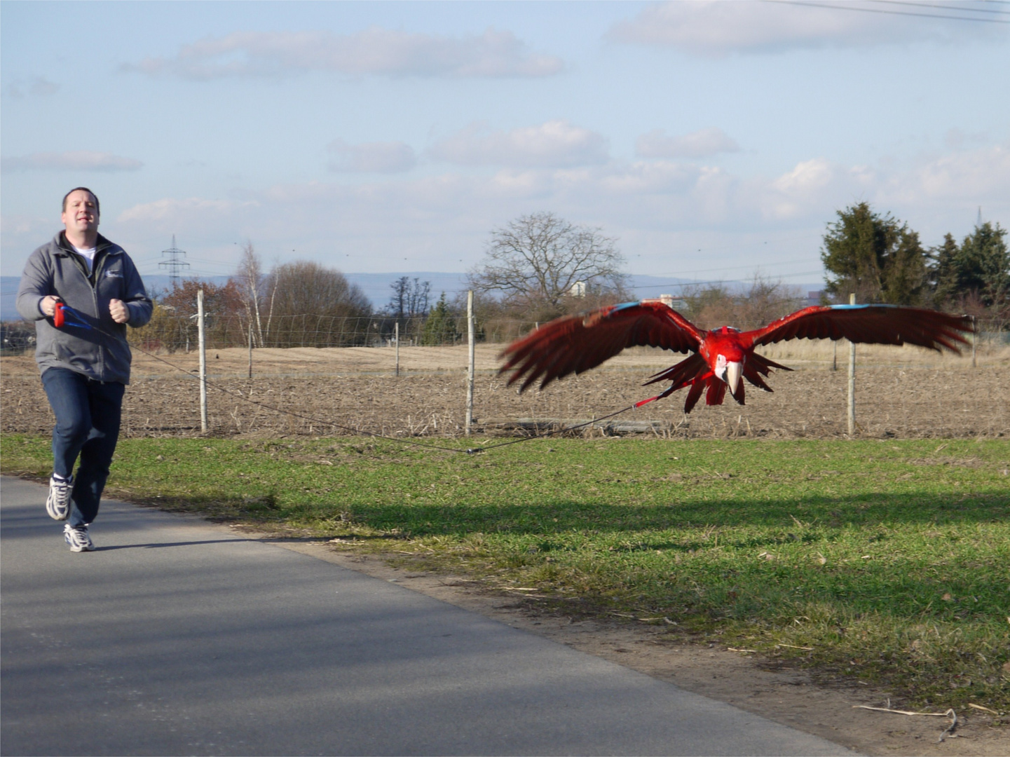 Zugvogel