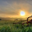 Zuhause am frühen Morgen