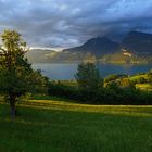 Zuhause am schönen Thunersee