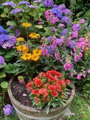 Zuhause im Garten