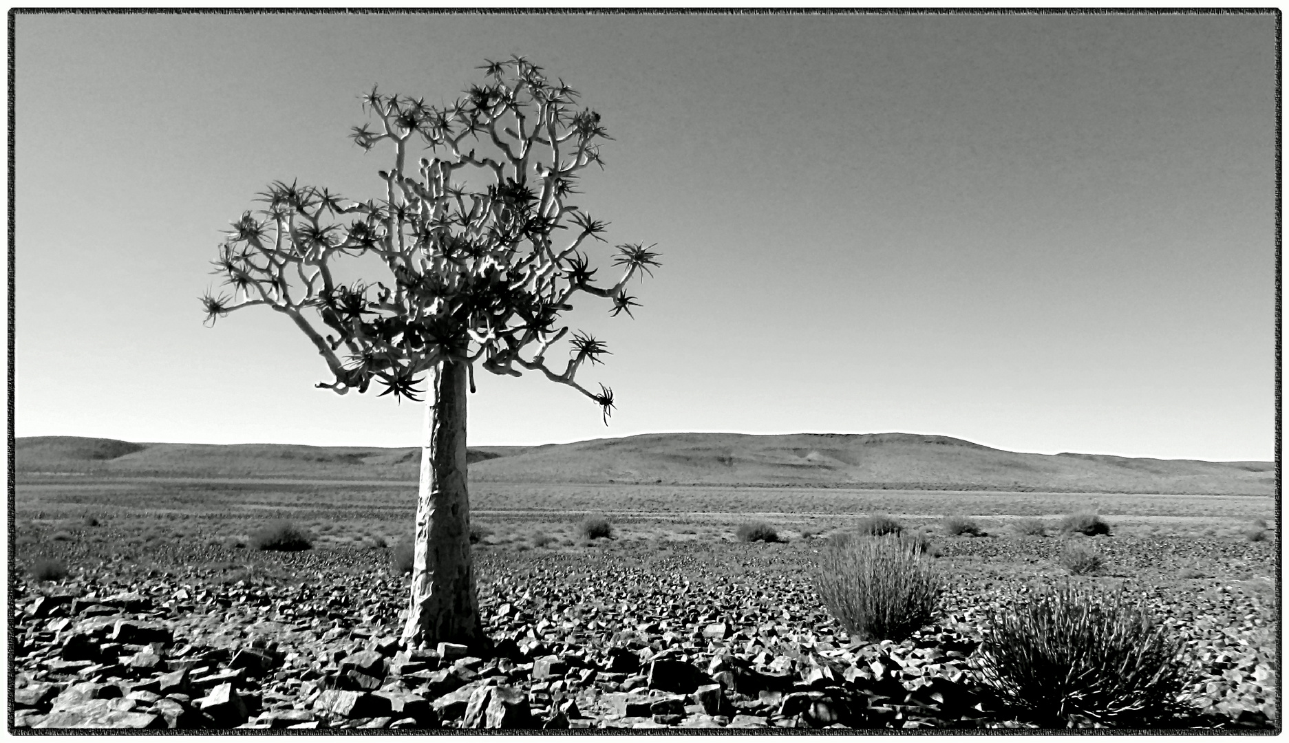 Zuid-Afrika-2013-09-21 22