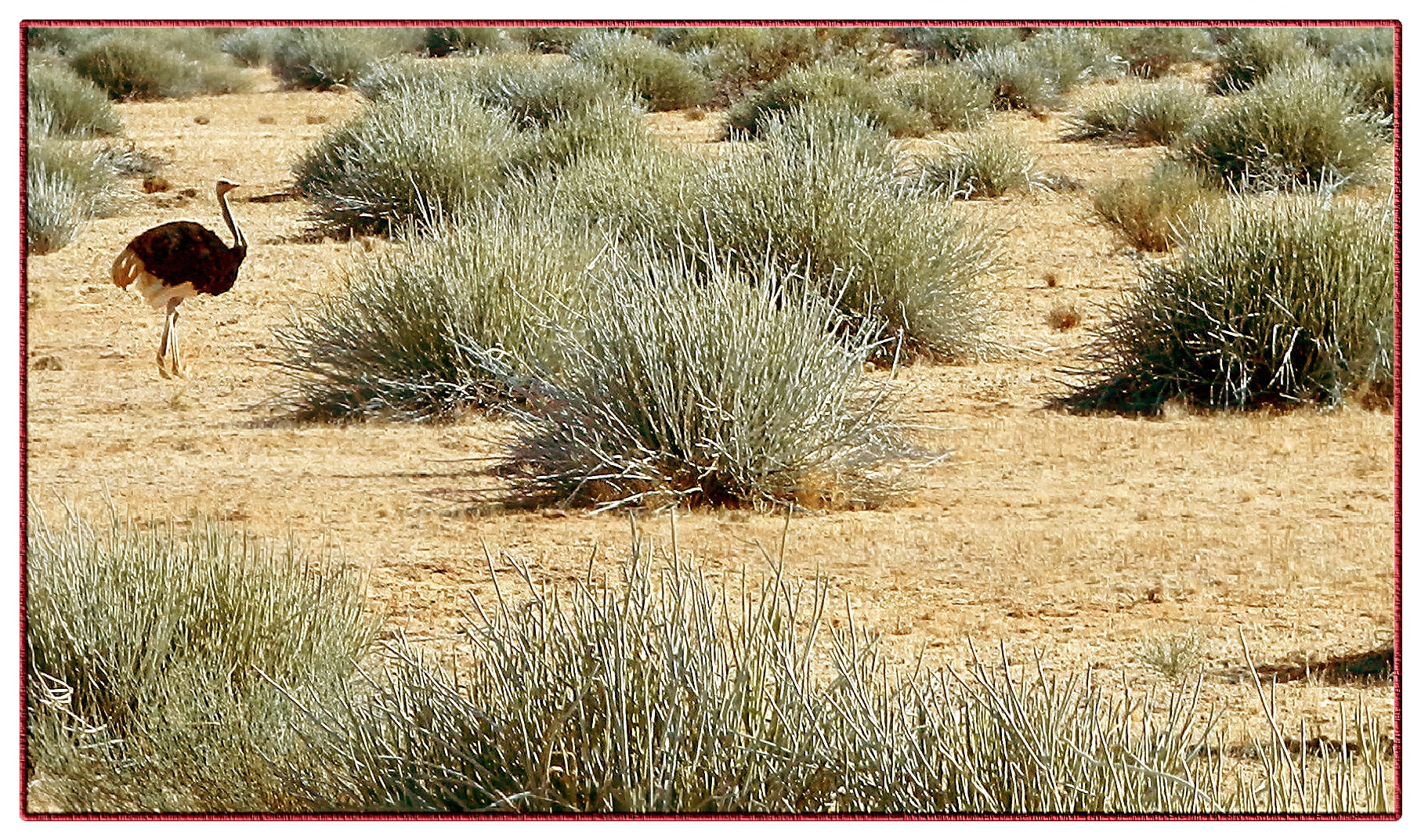 Zuid-Afrika-2013-09-21