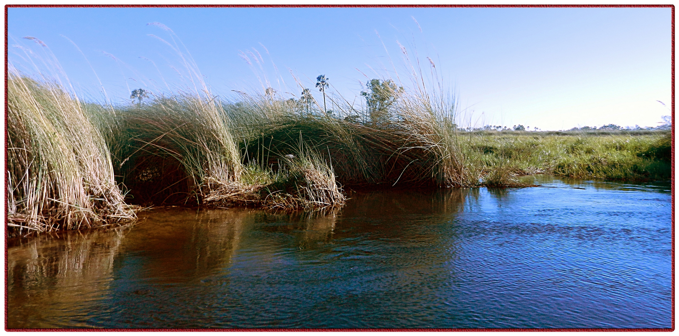 Zuid-Afrika-2013-10-02 3