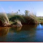 Zuid-Afrika-2013-10-02 3