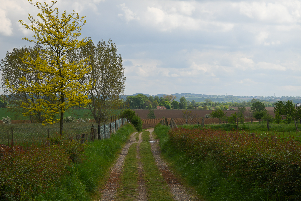 Zuid Limburg (NL)