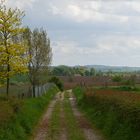 Zuid Limburg (NL)