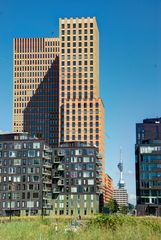 Zuidas/Financial District - De Boelelaan - 04