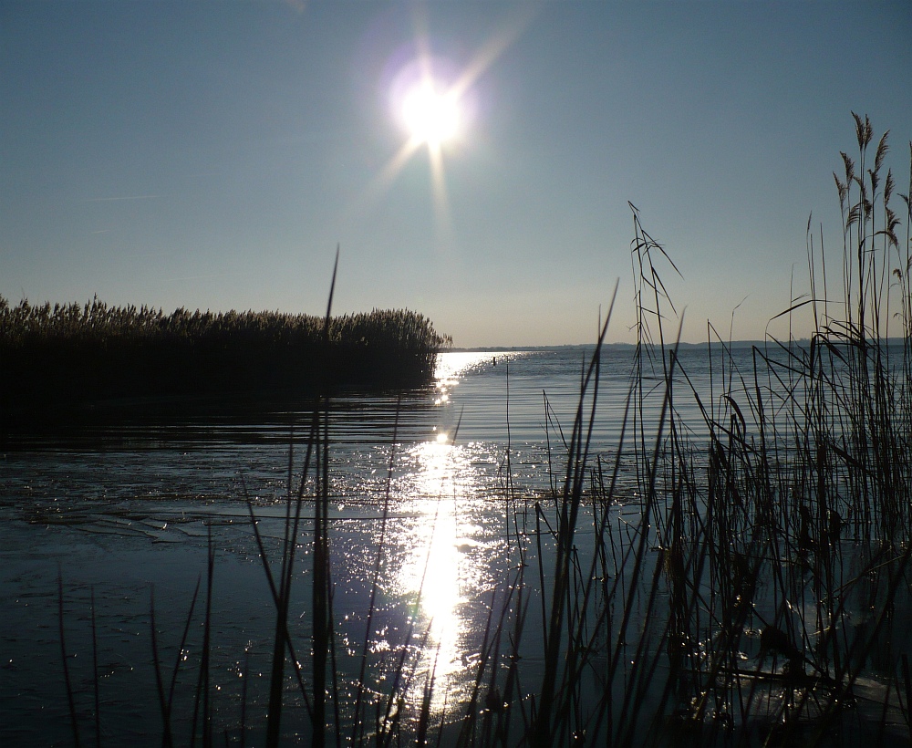 Zuidlaardermeer