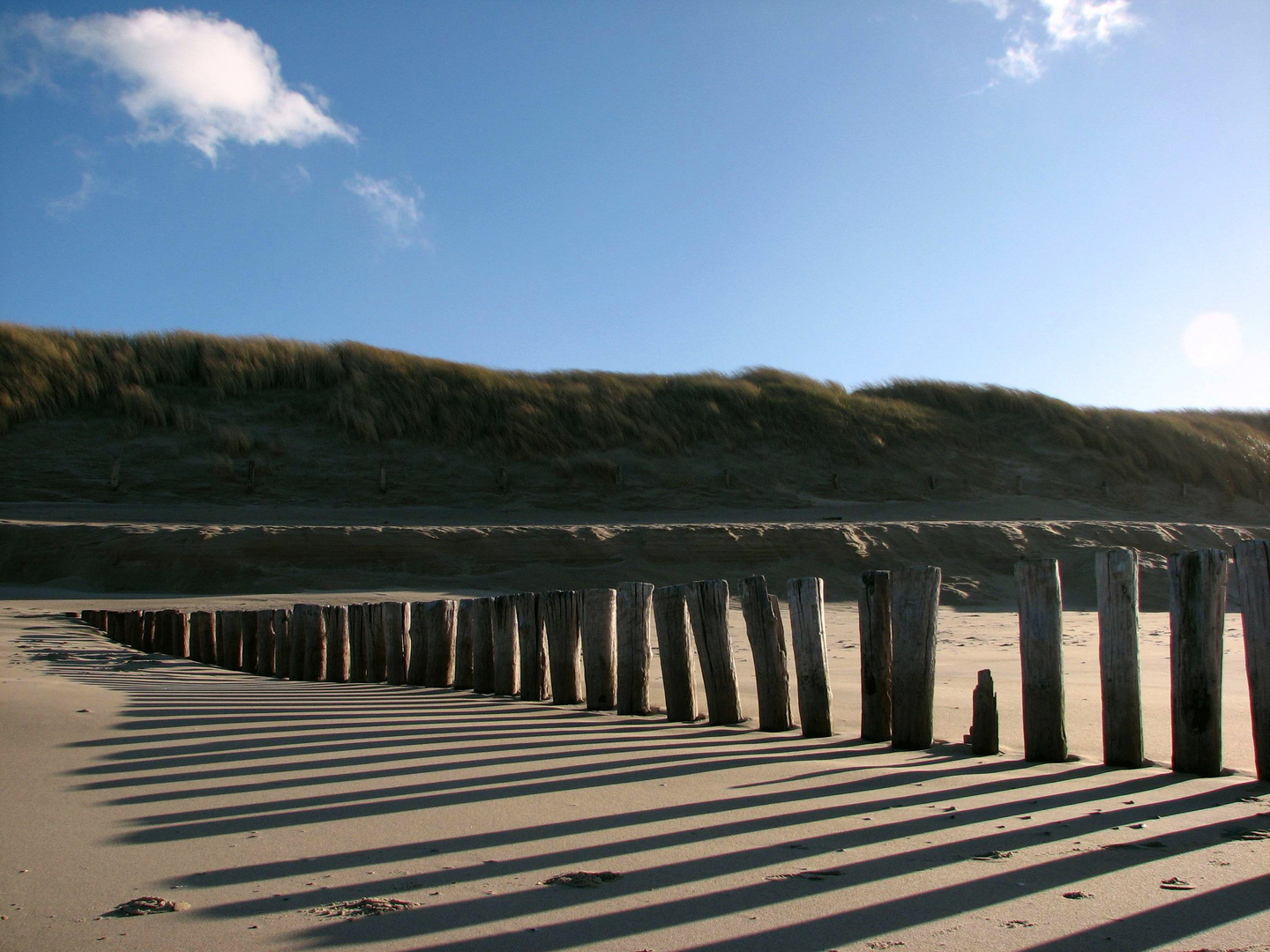 Zuidzeeland Strand im Winter