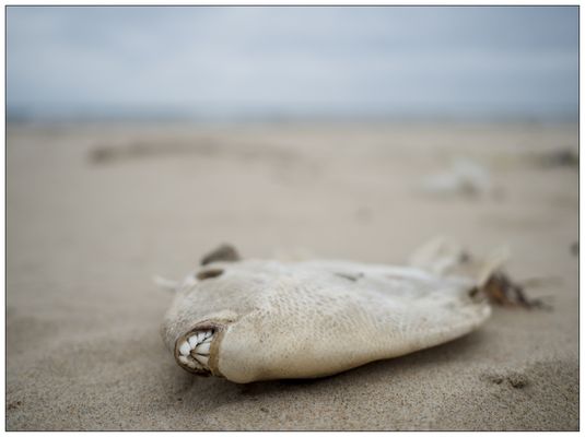 Zukunft abgesagt. Eingefroren.