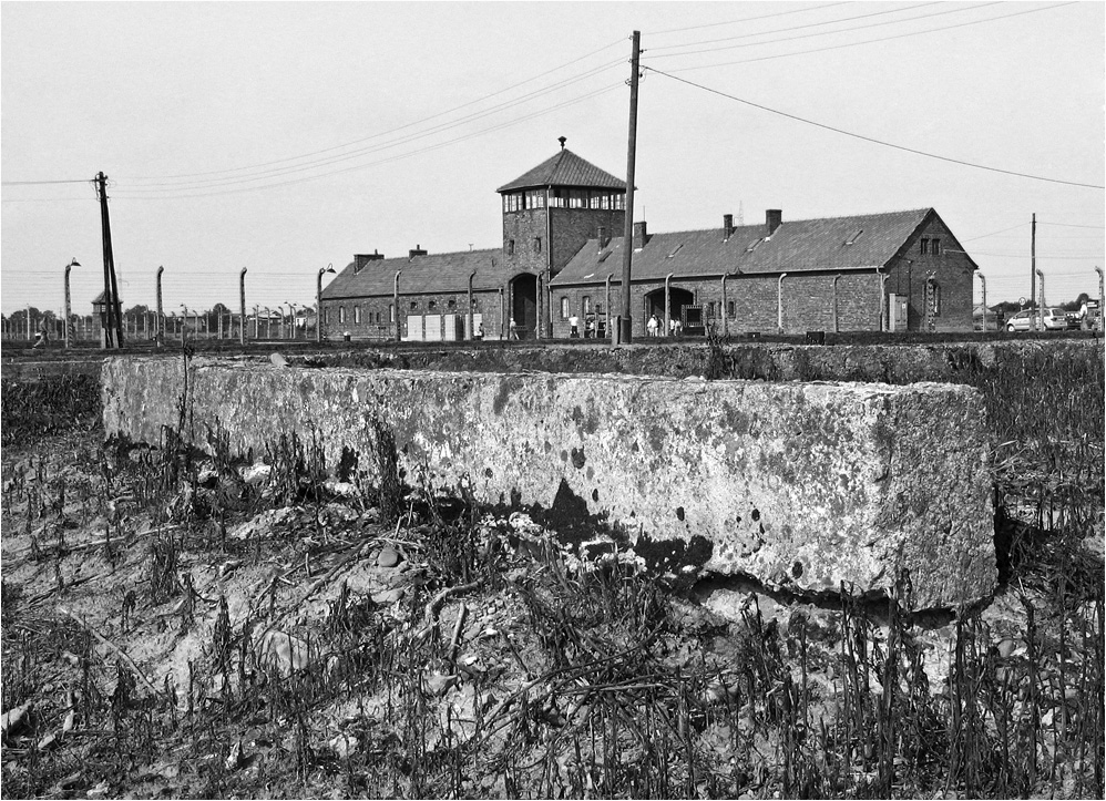 ZUKUNFT BRAUCHT ERINNERN (2)