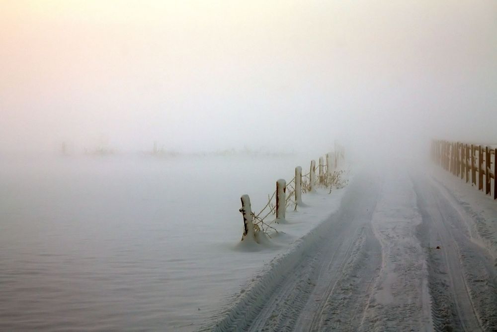 Zukunft im Nebel