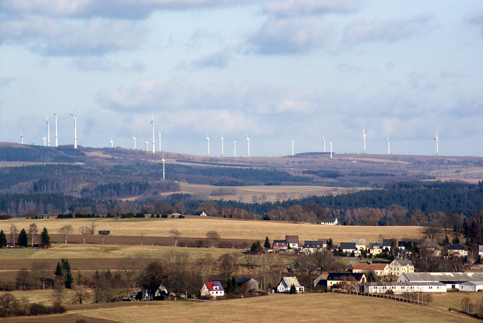 Zukunftswälder