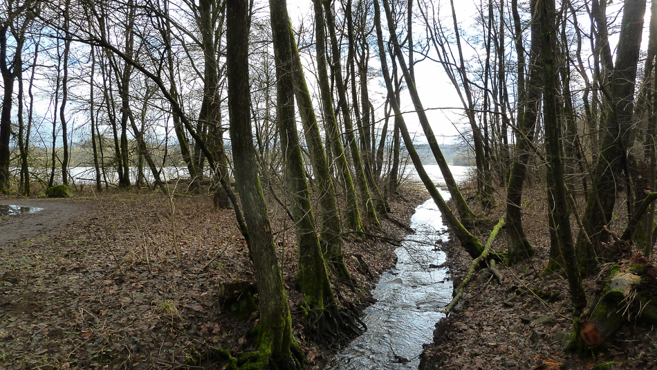 Zulauf zum See