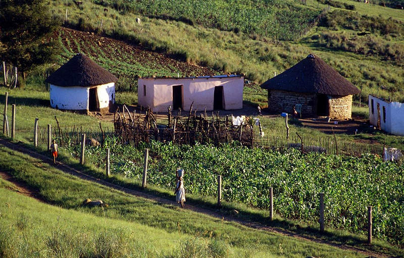 Zulu Hütten