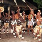 Zulus - Tanzend im Kraal