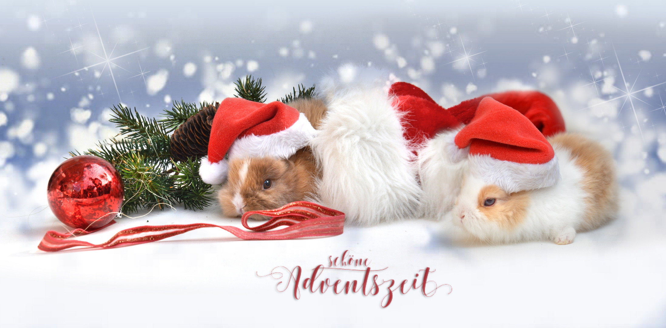 1 Advent