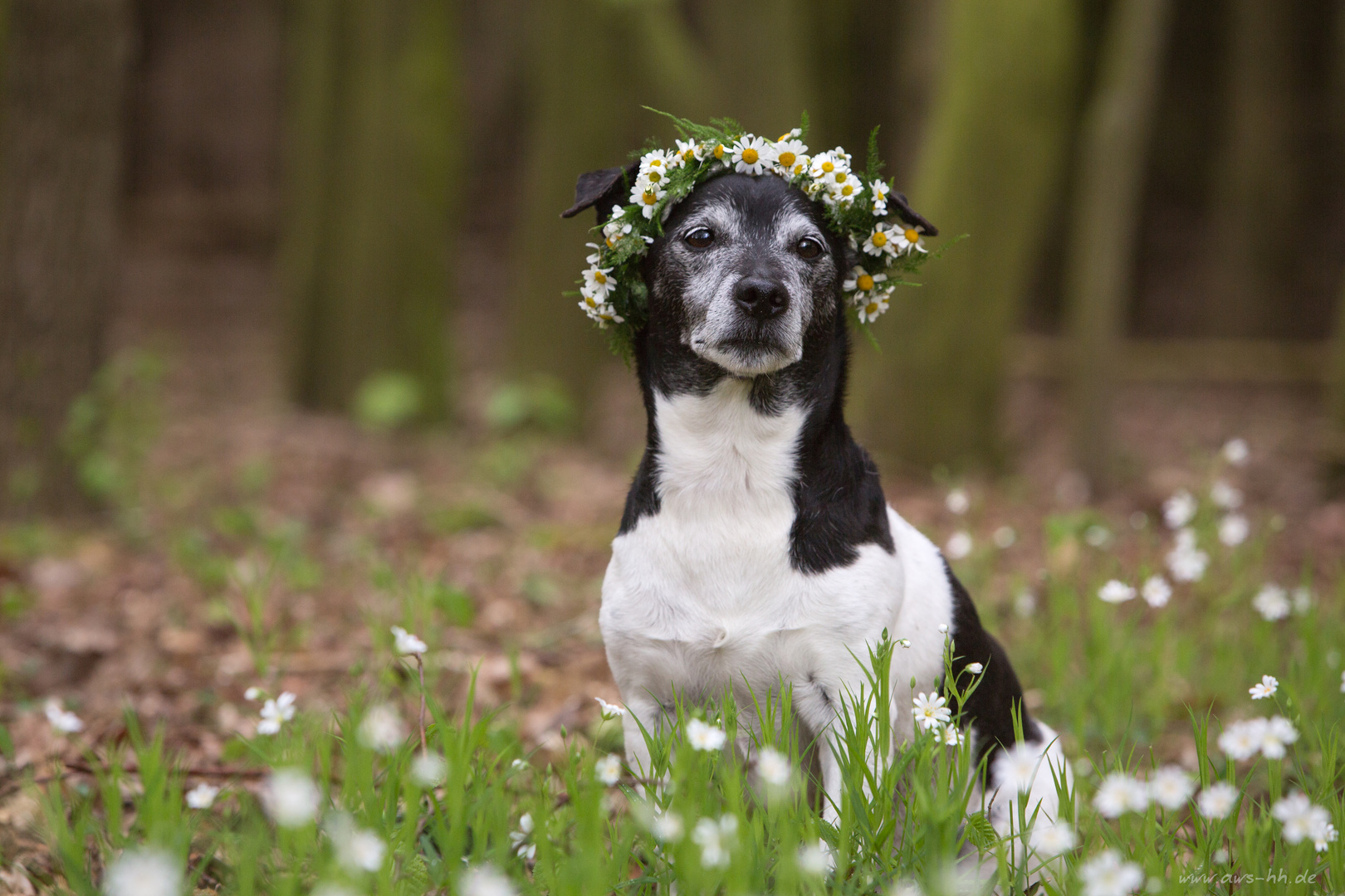 zum 1. Mai....