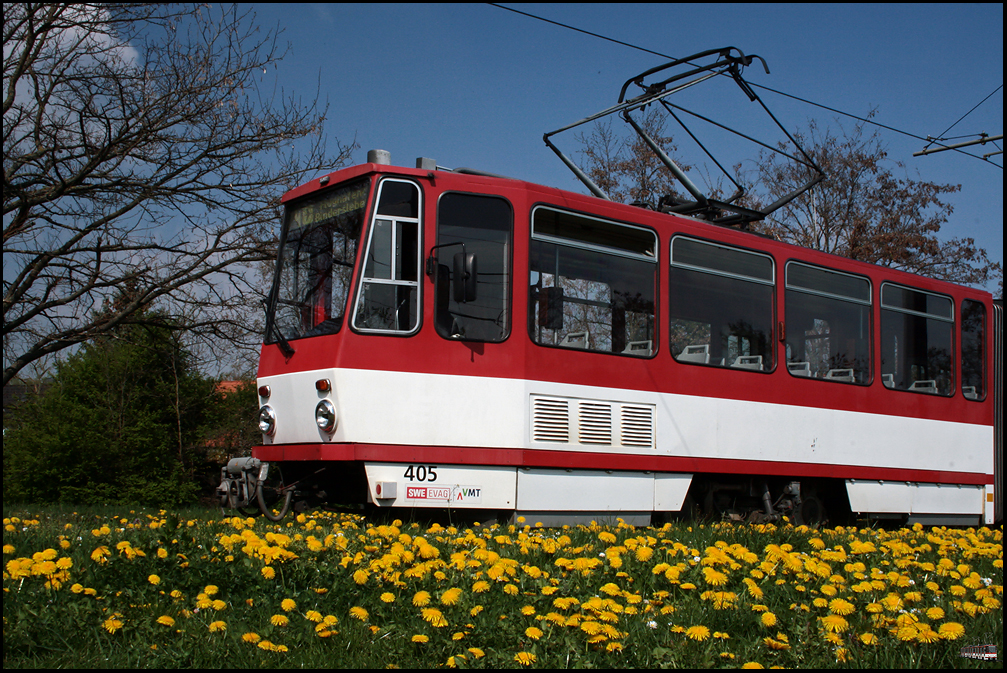 Zum 1. Mai