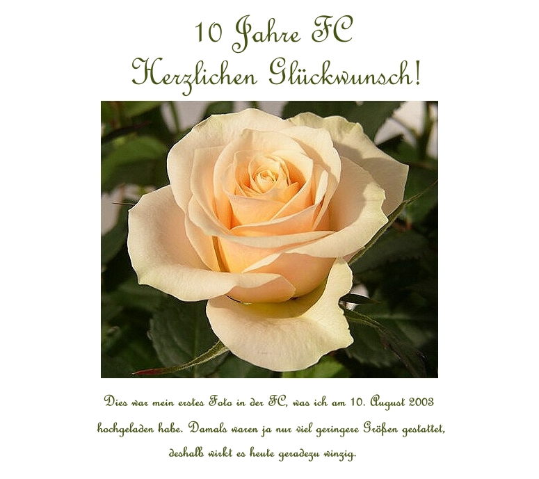 Zum 10.jährigen Jubiläum der Foto & Bild grußkarten
