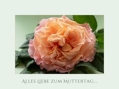 Zum 11. Mai 2025
