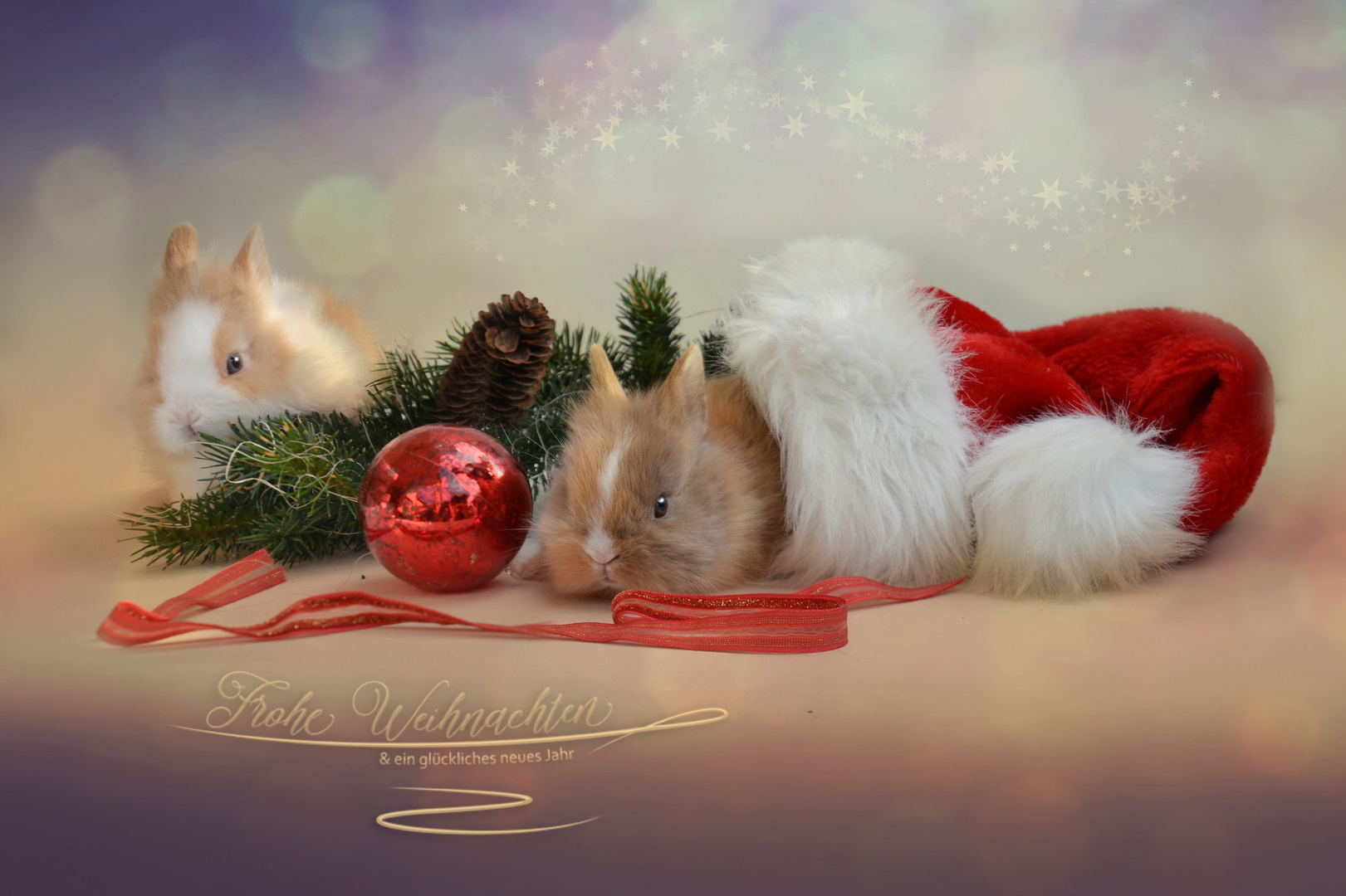 zum 2. Advent Foto & Bild | weihnachten, hase, karte Bilder auf zum 2. Advent Foto & Bild | weihnachten, hase, karte Bilder auf