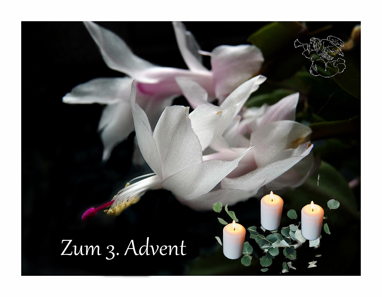 Zum 3.Advent 