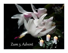 Zum 3.Advent 