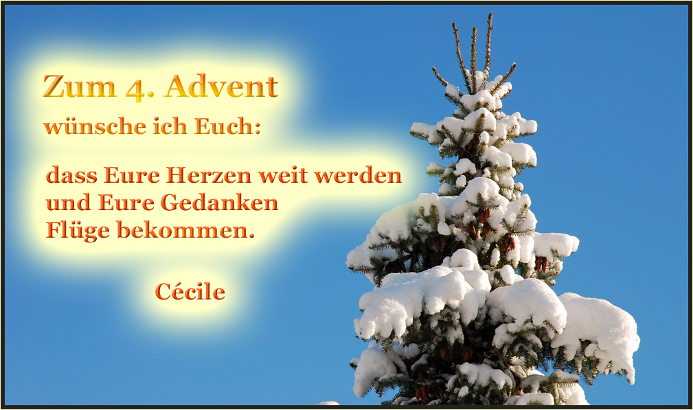 Zum 4. Advent...