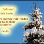 Zum 4. Advent...