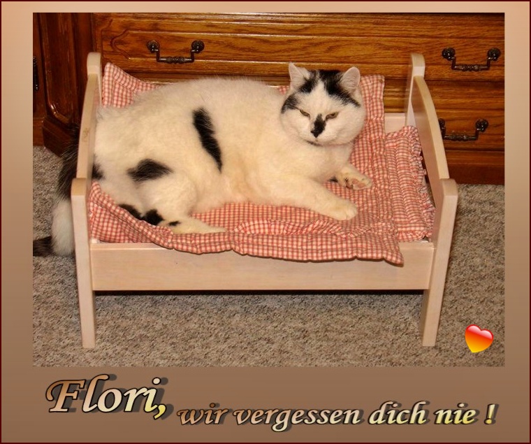 Zum 4. Todestag von Flori