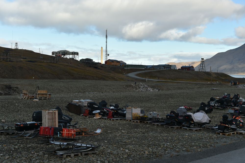 Zum 5. Mal auf Spitzbergen                      DSC_6025