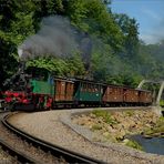 Zum 6. Schmalspurbahnfestival der Weißeritztalbahn ...,