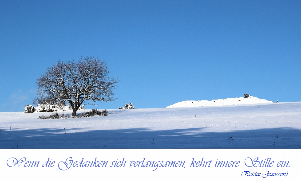 Zum 8. Dezember ...