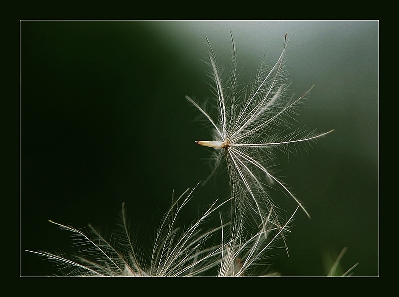 ~~Zum Abflug bereit~~ von Beate M. B. 